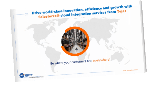 Saleforce Integration Brochure